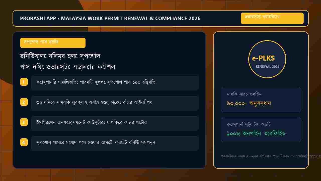 Legal protection framework for obtaining a Special Pass during the crisis of the current permit's term ending.